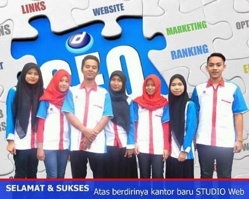 tim seo studio web