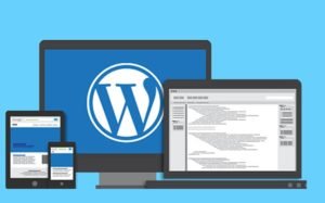 Meningkatkan Kinerja WordPress