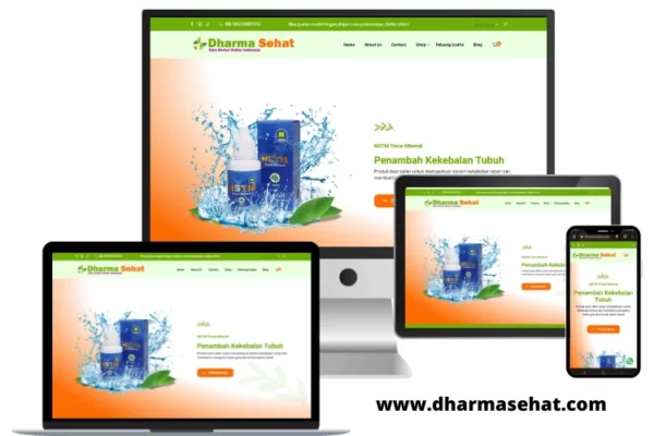 portofolio web toko online 2